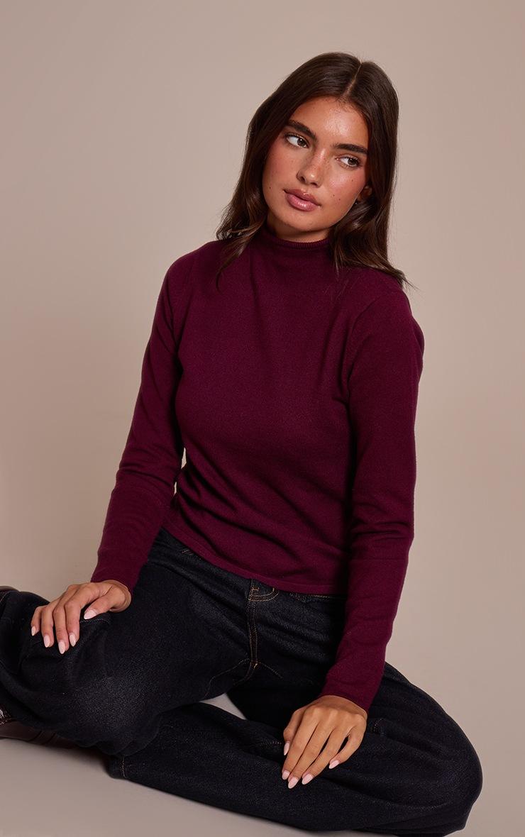 Pretty Little Thing Burgundy Fine Knit High Neck Sweater