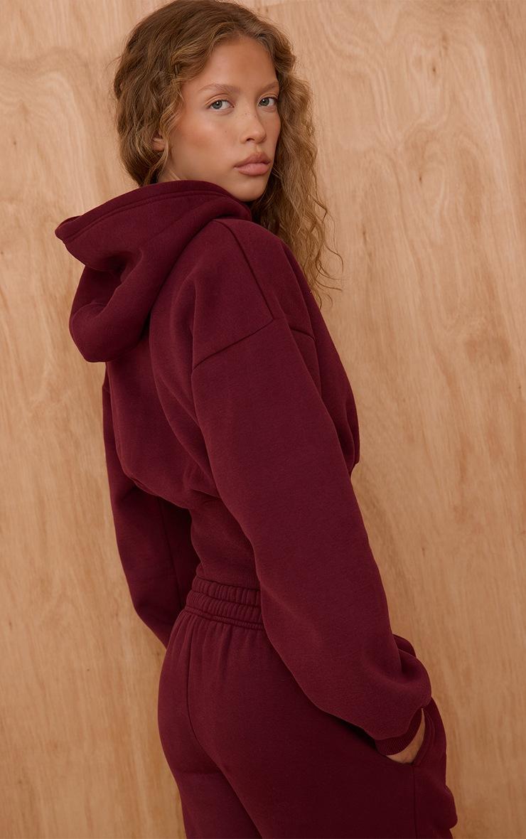 Pretty Little Thing PLT Wine Tab Cinched Waist Crop Hoodie