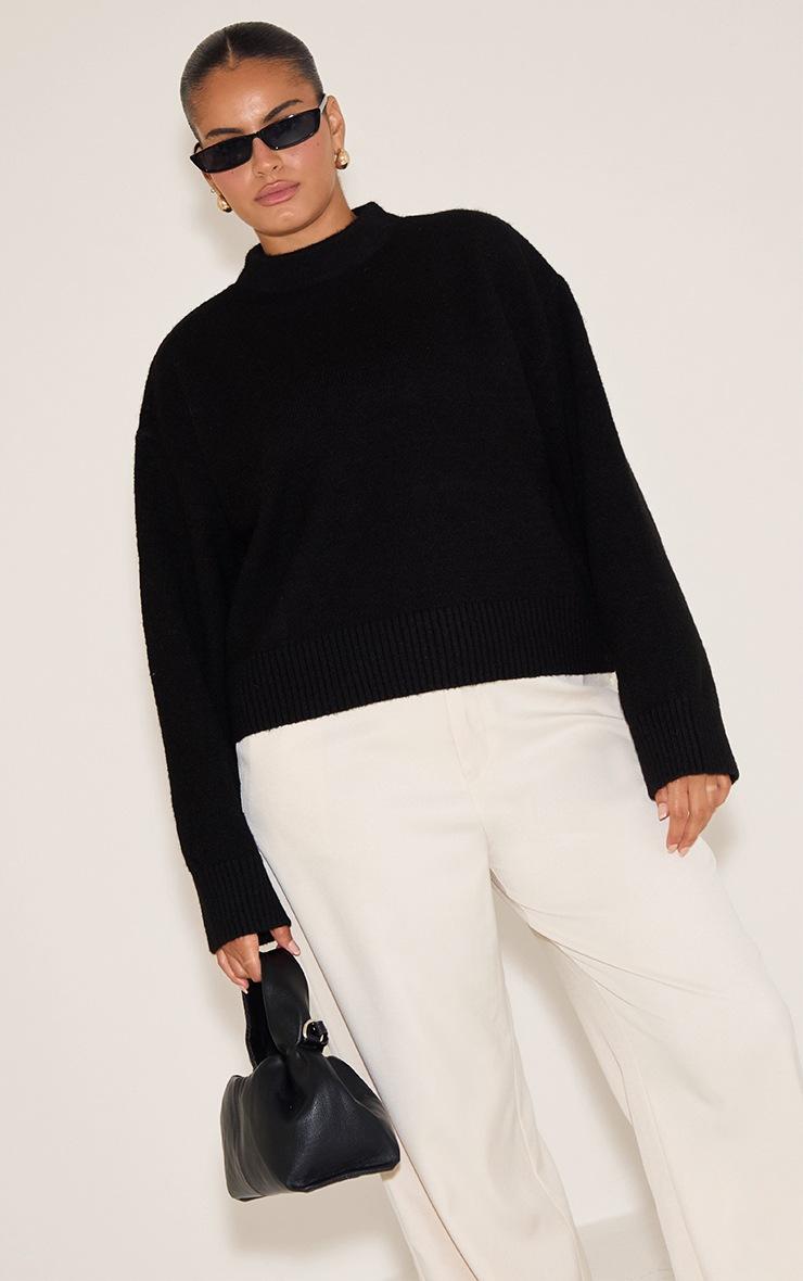 Pretty Little Thing Plus Black Knit High Neck Crop Sweater