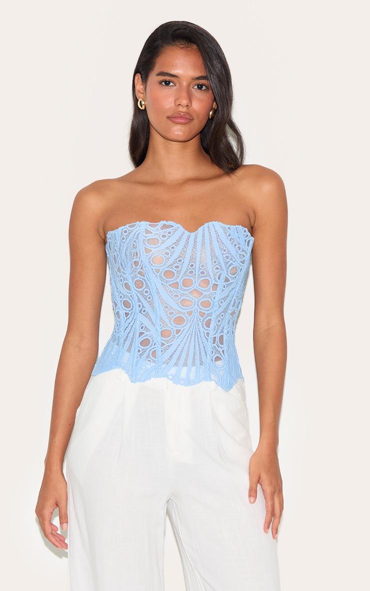 Pretty Little Thing Sky Blue Textured Sheer Floral Lace Corset